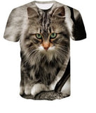 Short Sleeve T Shirts