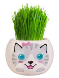 Grass Hair Kits - Kittens