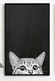 Wall hangings / pictures