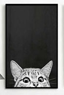 Wall hangings / pictures