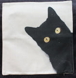 black cat copper eyes