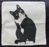 black and white leaning cat