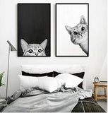 Wall hangings / pictures