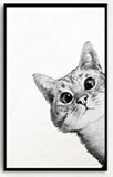 Wall hangings / pictures